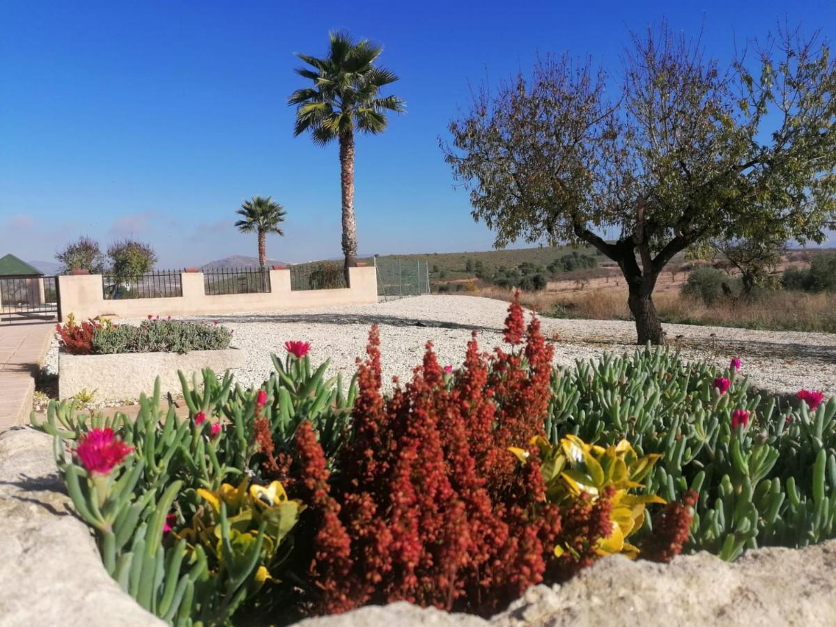 לינה וארוחת בוקר Canada del Trigo Finca Guillermo Murcia מראה חיצוני תמונה